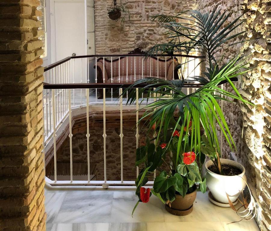 Apartamentos Rosario Centro 加的斯 外观 照片
